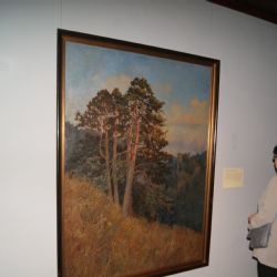 V Jihlavě otevřeli výstavu obrazů hradů v česko-rakouském příhraničí