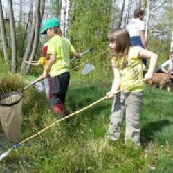 V Jihlavě vyrazili za obojživelníky