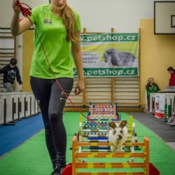 V Libici se utká stovka králíků z Čech i Německa