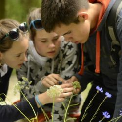 V Náměšti nad Oslavou začalo finále Zlatého listu