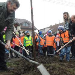 V Náměšti vyšli vstříc přání místních a obnovili alej