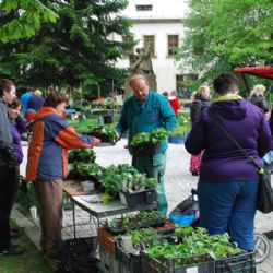 V Novém Městě na Moravě startují farmářské trhy