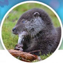 V Pavlově otevřou zrekonstruované ekocentrum