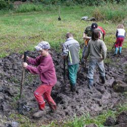 V Pístově pomohou opět žábám a čolkům