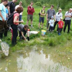 V Pístově se uskutečnila akce Pojďte s námi za žábami