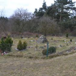 V Třebíči končí provoz hřbitova pro zvířata