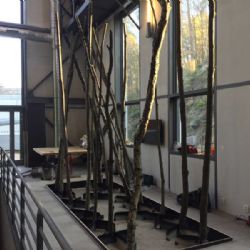 V třebíčském Alternátoru vyroste les, ukáže využití biomasy