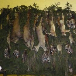 V Uhelné Příbrami vařili myslivci