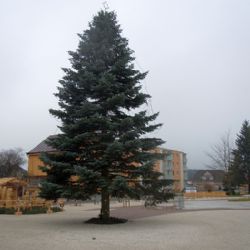 Vánoční strom a betlém na ždíreckém náměstí