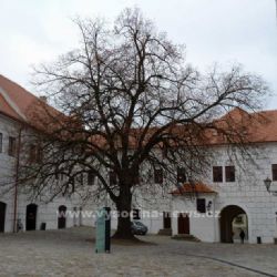 Vánoční výstava betlémů na třebíčském zámku