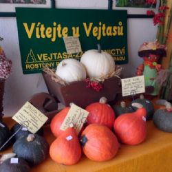 Vejtasovo zahradnictví opět láká na výstavu dýní