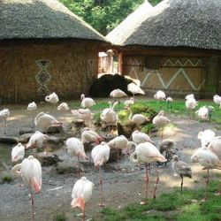 Velikonoce v Zoo Jihlava