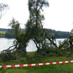 Vítr lámal na Vysočině stromy, nejvíce zásahů měli hasiči na Jihlavsku