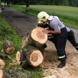 Vítr na Vysočině komplikuje dopravu, dvě silnice jsou zavřené