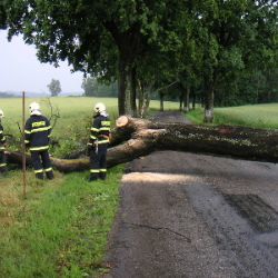 Vítr tentokrát na Vysočině příliš neškodil