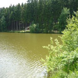 Voda v rybnících a přehradách Vysočiny zatím téměř bez sinic