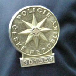 Vražda na Silvestra v Třebíči