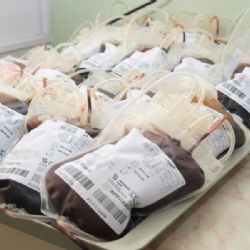 Výměna oken posouvá v jihlavské nemocnici odběry krve