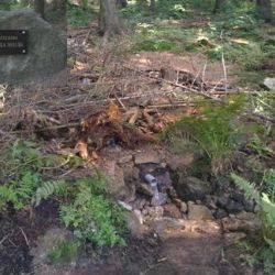 Vyšlo CD Studánky a prameny na Jihlavsku