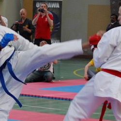 Vysočina má nový svaz karate