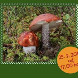 Výstava hub a mykologická poradna v Jihlavě