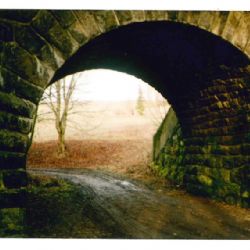 Výstava Jany Svobodové v Horáckém muzeu