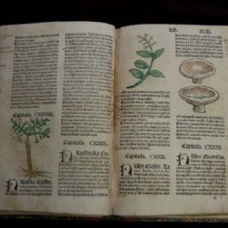 Výstava Na každou nemoc roste bylina