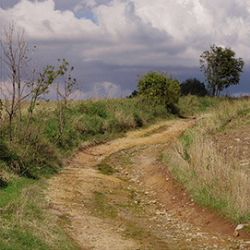 Výstava soutěže Photographia natura 2014 v Jihlavě