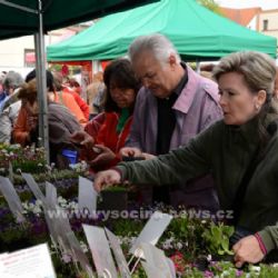 Výstava Zahrada 2014 vyvrcholí v Brodě v neděli