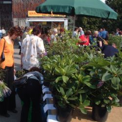 Výstava Zahrada nabídne řadu novinek