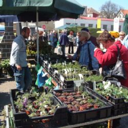 Výstava Zahrada opět v Havlíčkově Brodě