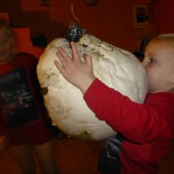 Z Havlíčkobrodska hlásí: A pak že nerostou!