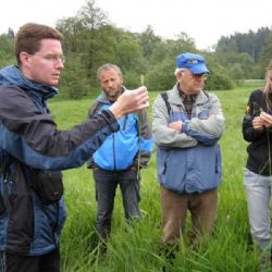 Za květinami a obojživelníky na Žďársko