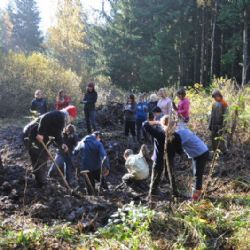 Žáby na Stavišti ve Žďáru nad Sázavou čekají na mladé vědce