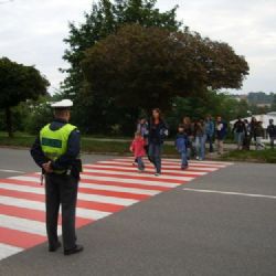 Začíná projekt Zebra se za Tebe nerozhlédne