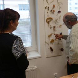 Zahradníci v Jihlavě mají za sebou první zkoušky