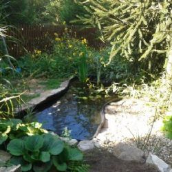 Základní škola Kpt. Jaroše v Třebíči bude mít přírodní zahradu