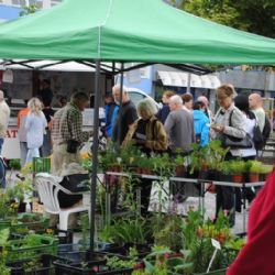 Žďárské náměstí ožívá farmářským trhem