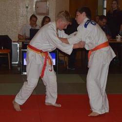 Zlato a stříbro třebíčských judistů o uplynulém víkendu