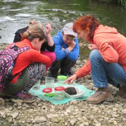 Zlatý list hlásí v Balinách rekordní účast