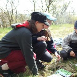 Zlatý list o víkendu ve Velkém Meziříčí