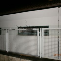 Zloděj utekl s nepořízenou