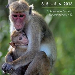 Zoologické postřehy v Třešti