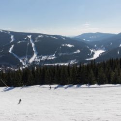 Kam na lyže? Do Harrachova nebo do Špindlerova mlýna?