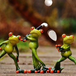 Kraj Vysočina hledá nejlepší sportovce uplynulého roku