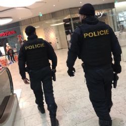 Pátrání po pohřešovaném muži