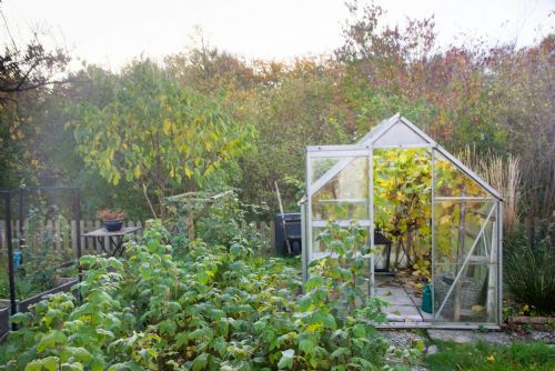 Foto: Zařiďte si svůj vlastní zahrádkářský ráj: Zahradní domek a fóliovník jako praktický základ