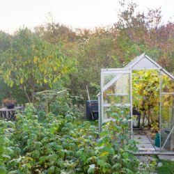 Zařiďte si svůj vlastní zahrádkářský ráj: Zahradní domek a fóliovník jako praktický základ