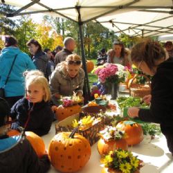Den dýní ve Žďáru nad Sázavou