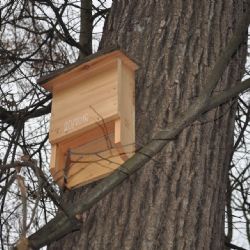 Nové budky pro ptáky, netopýry a veverky v Městských sadech v Pelhřimově